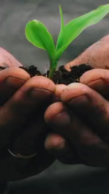 Post by honuaskincare