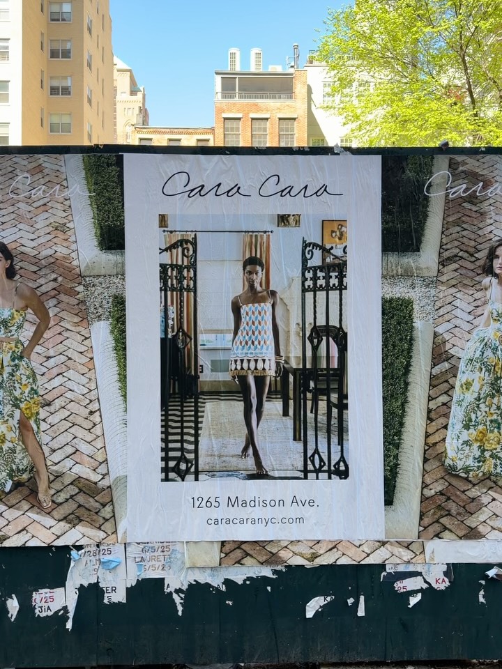 Post by caracara_nyc