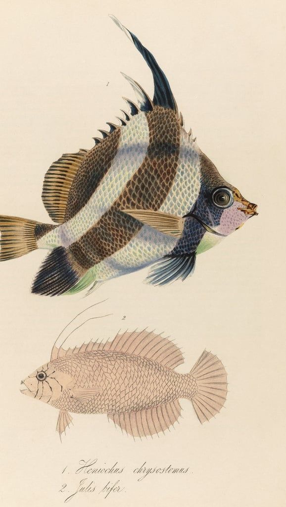 Post by lanewaythelabel