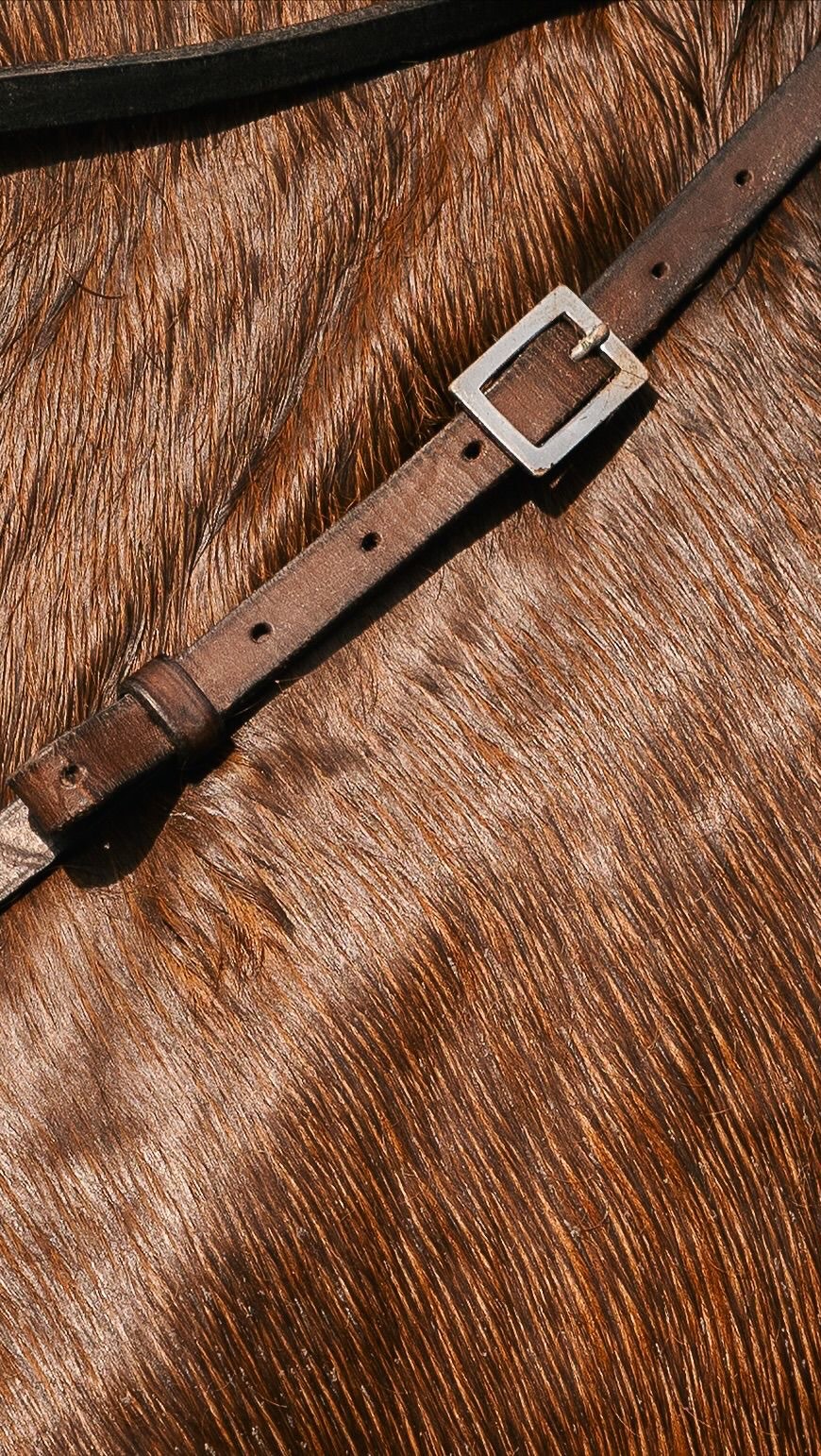 Post by saltandripple